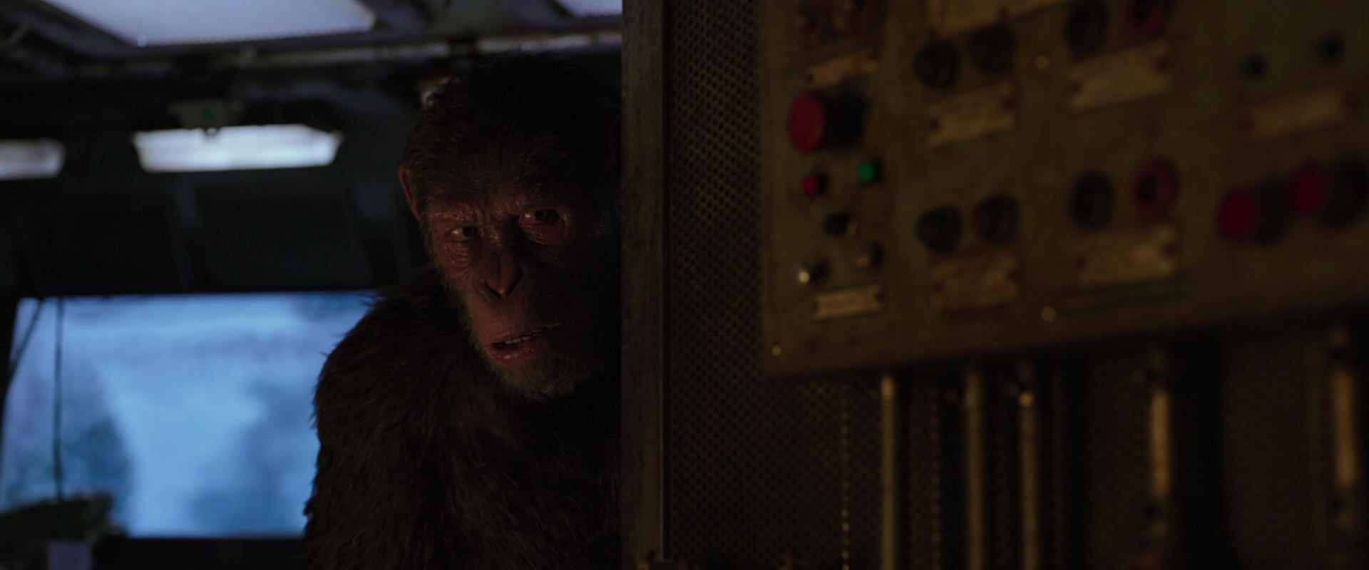 War for the Planet of the Apes (2017) HD screenshot 13538