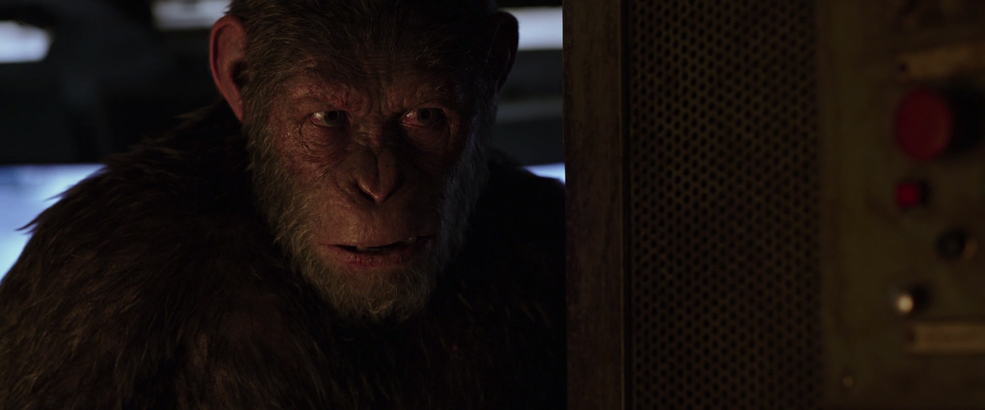 War for the Planet of the Apes (2017) movie still 13555