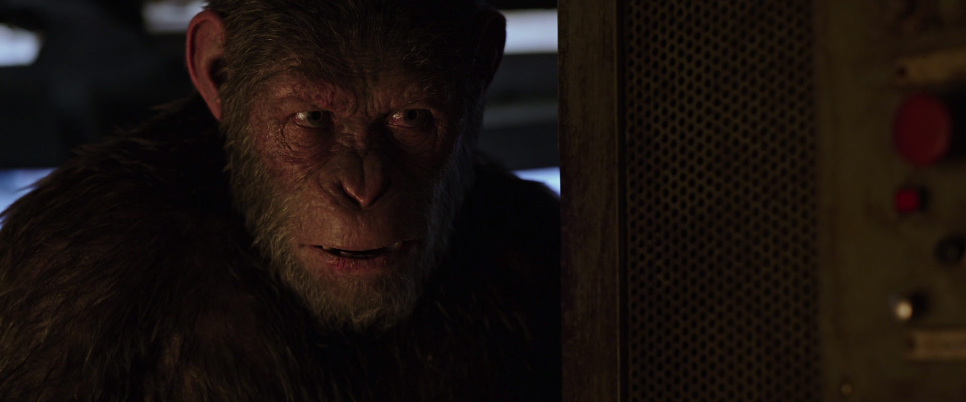War for the Planet of the Apes (2017) HD screenshot 13556