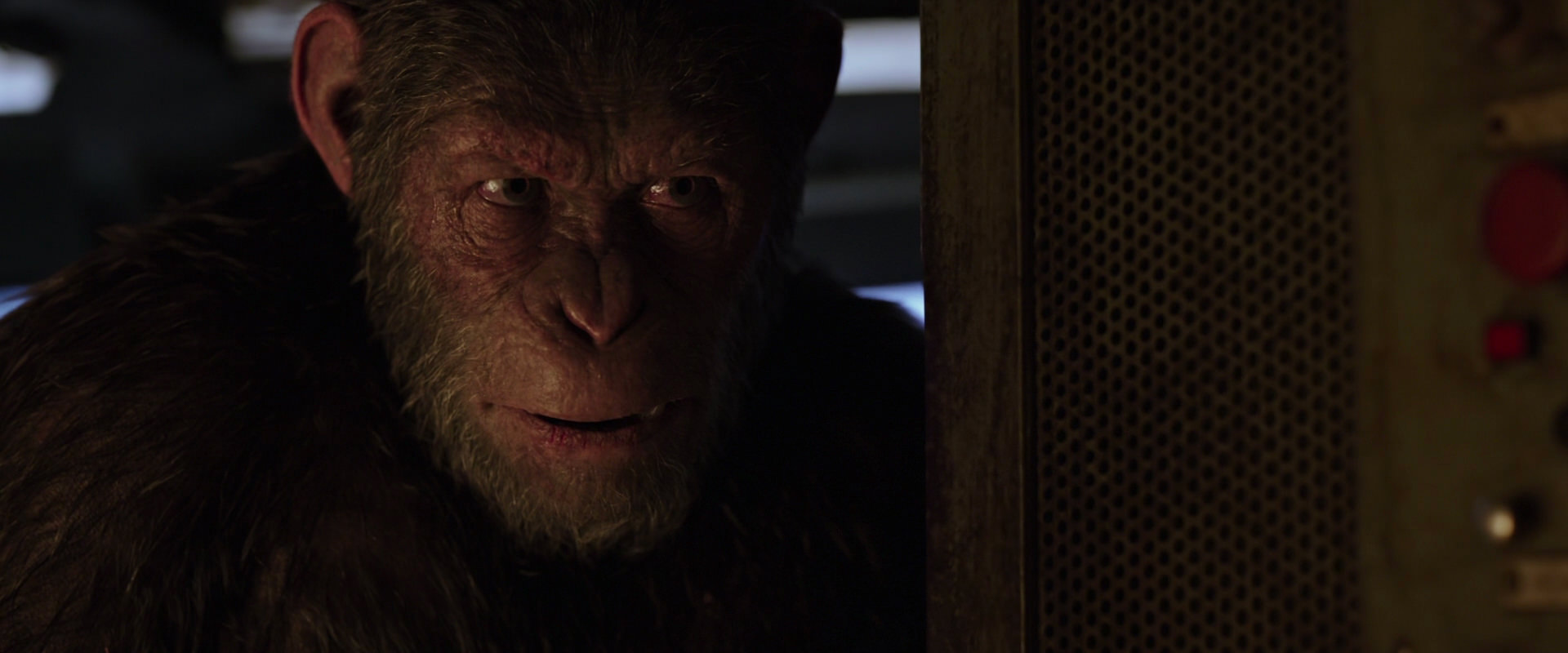 War for the Planet of the Apes (2017) screencap 13557