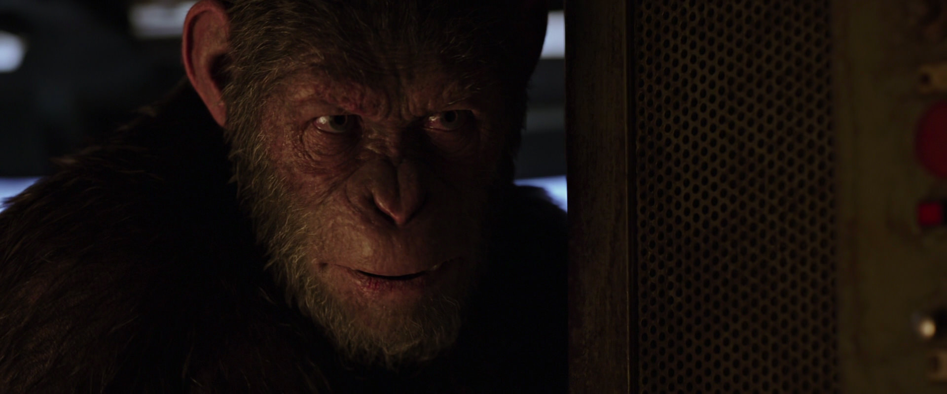 War for the Planet of the Apes (2017) movie still 13558