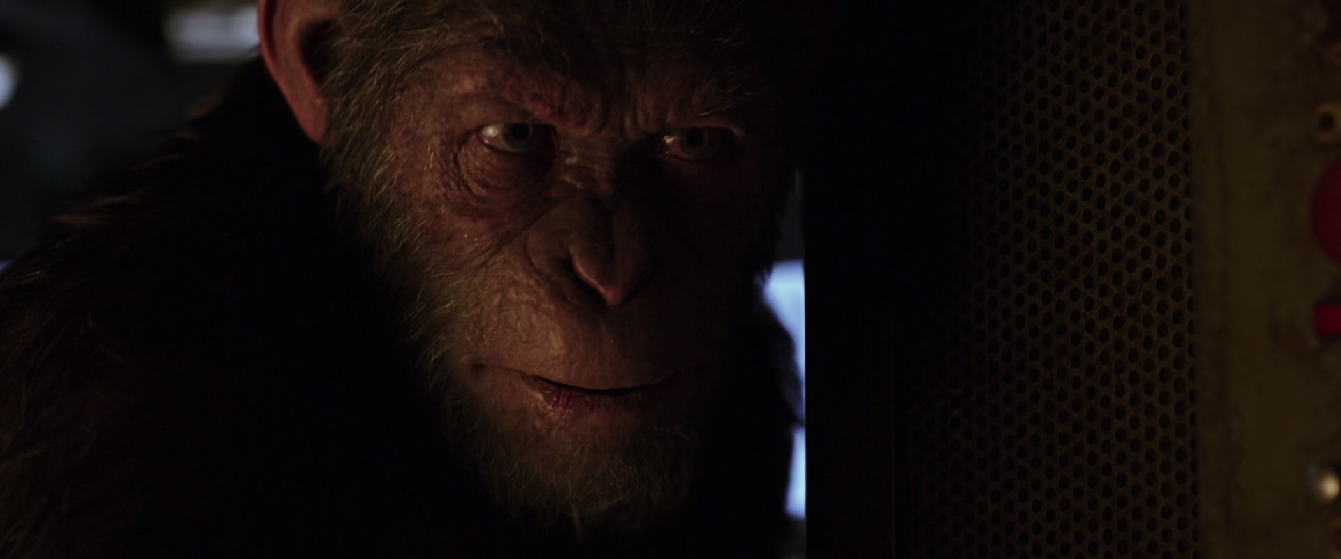 War for the Planet of the Apes (2017) HD screenshot 13559