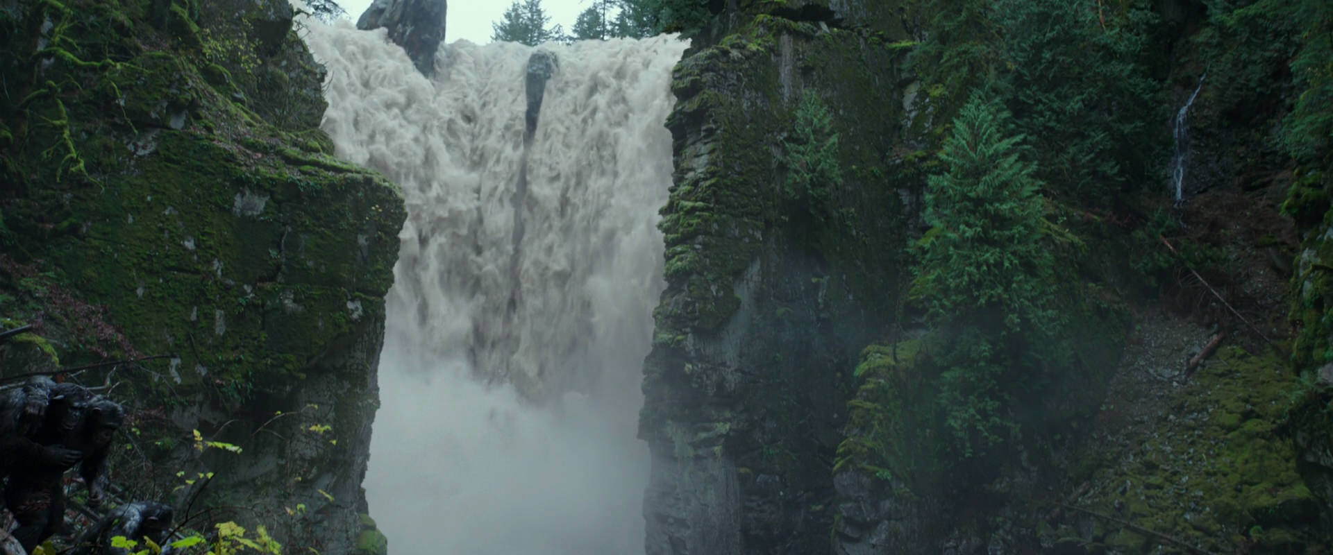 War for the Planet of the Apes (2017) screencap 1356