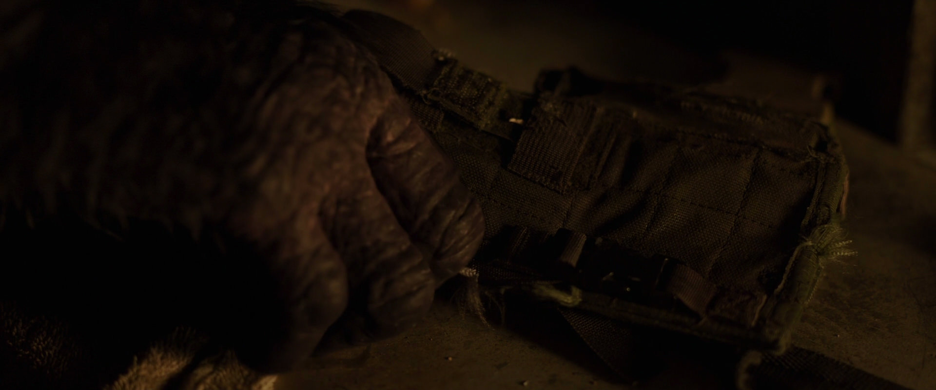 War for the Planet of the Apes (2017) screencap 13572