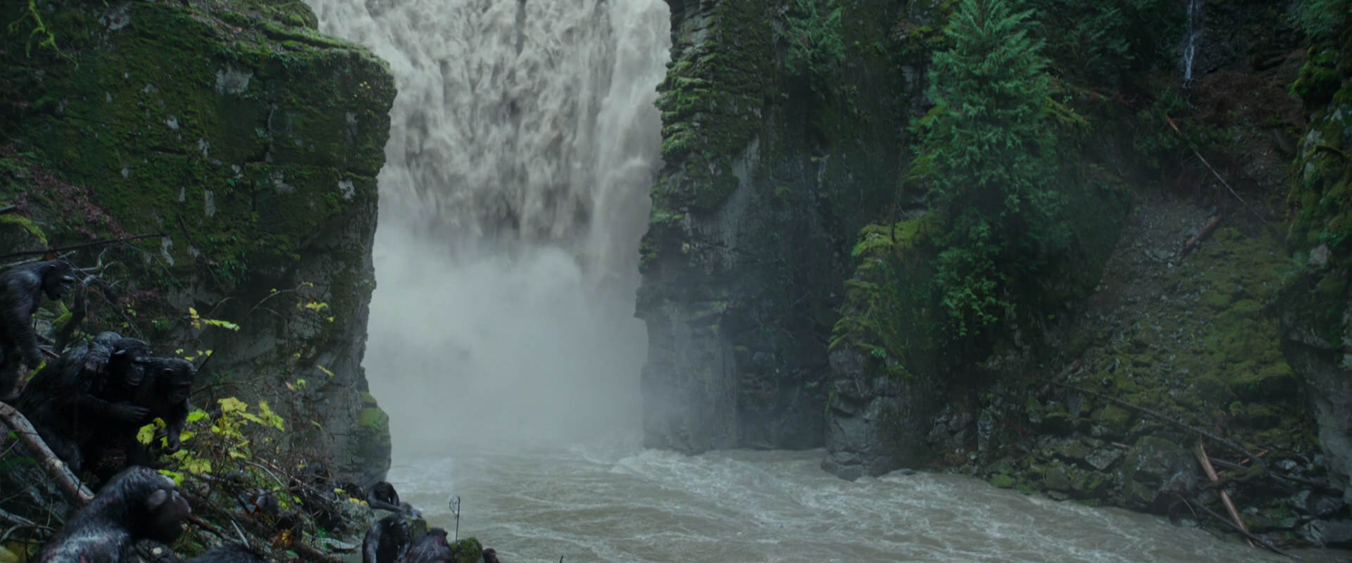 War for the Planet of the Apes (2017) screencap 1359