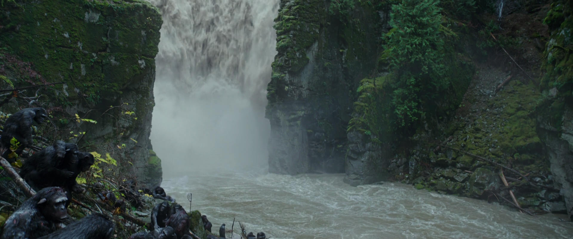 War for the Planet of the Apes (2017) movie still 1360