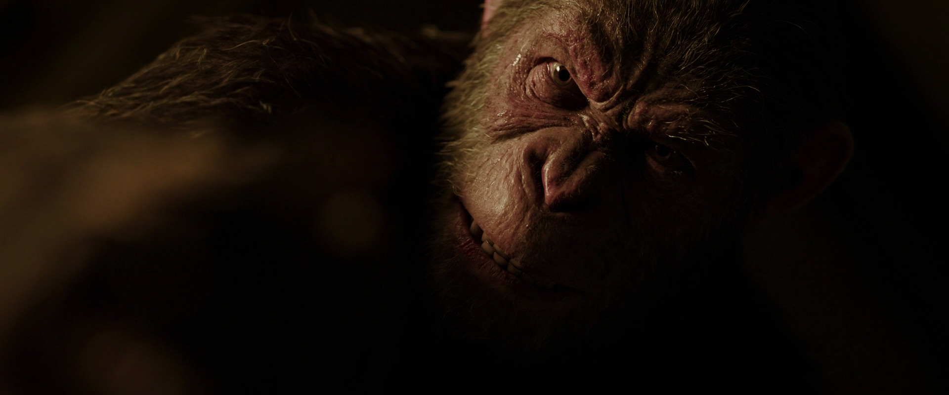 War for the Planet of the Apes (2017) screencap 13605