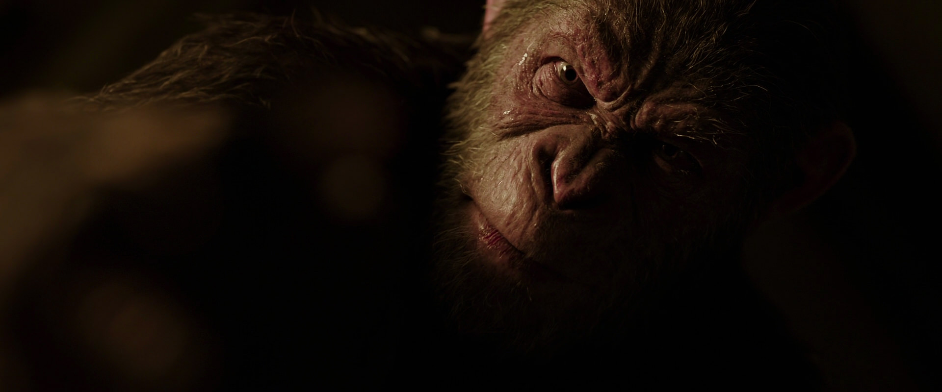 War for the Planet of the Apes (2017) movie still 13606