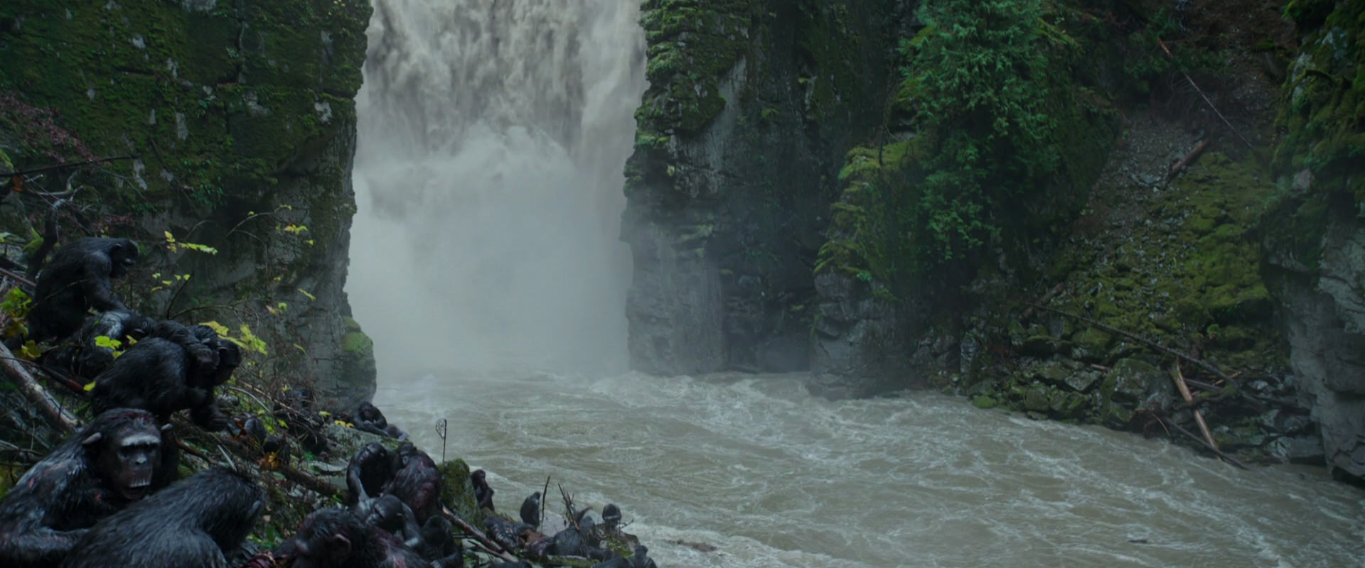 War for the Planet of the Apes (2017) HD screenshot 1361