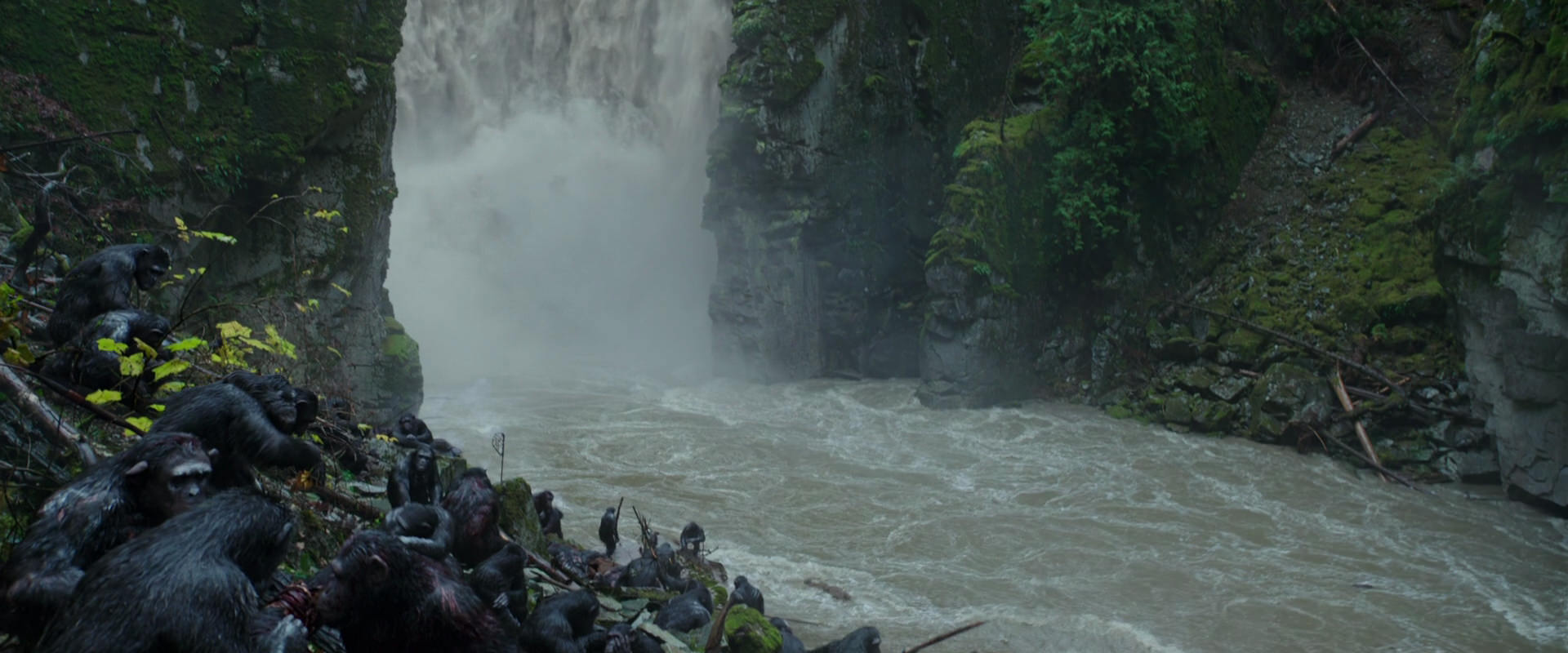 War for the Planet of the Apes (2017) screencap 1362
