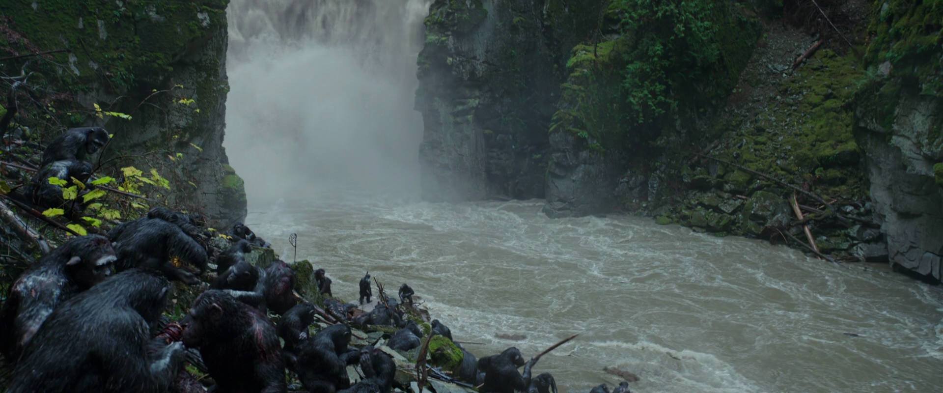 War for the Planet of the Apes (2017) movie still 1363