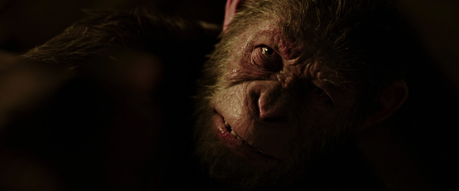 War for the Planet of the Apes (2017) screencap 13632
