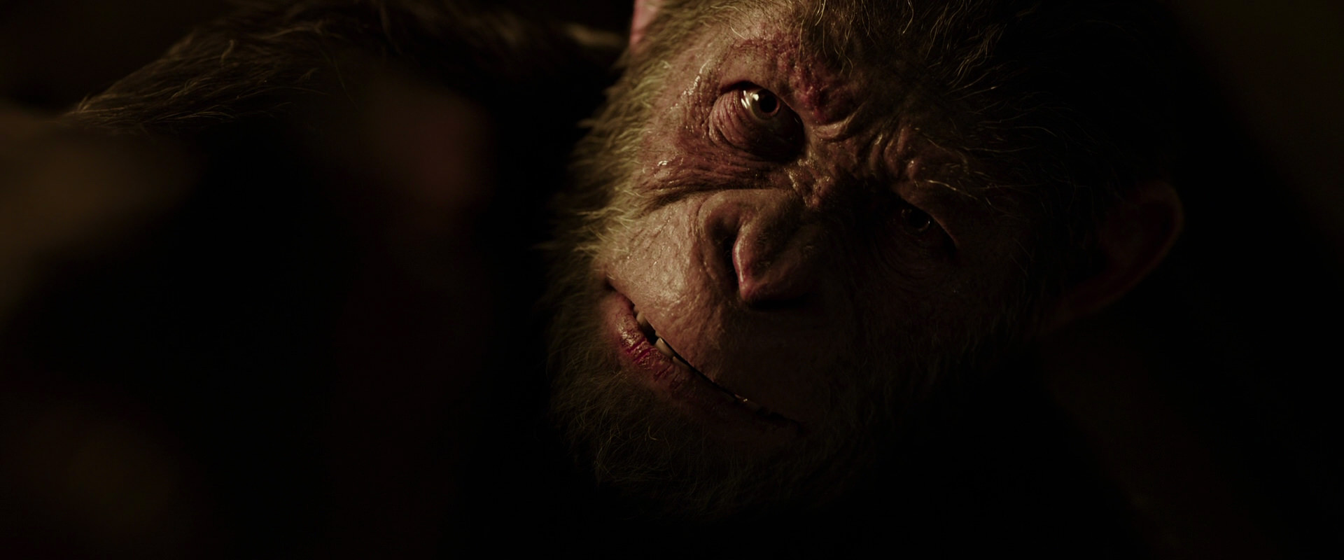 War for the Planet of the Apes (2017) screencap 13635