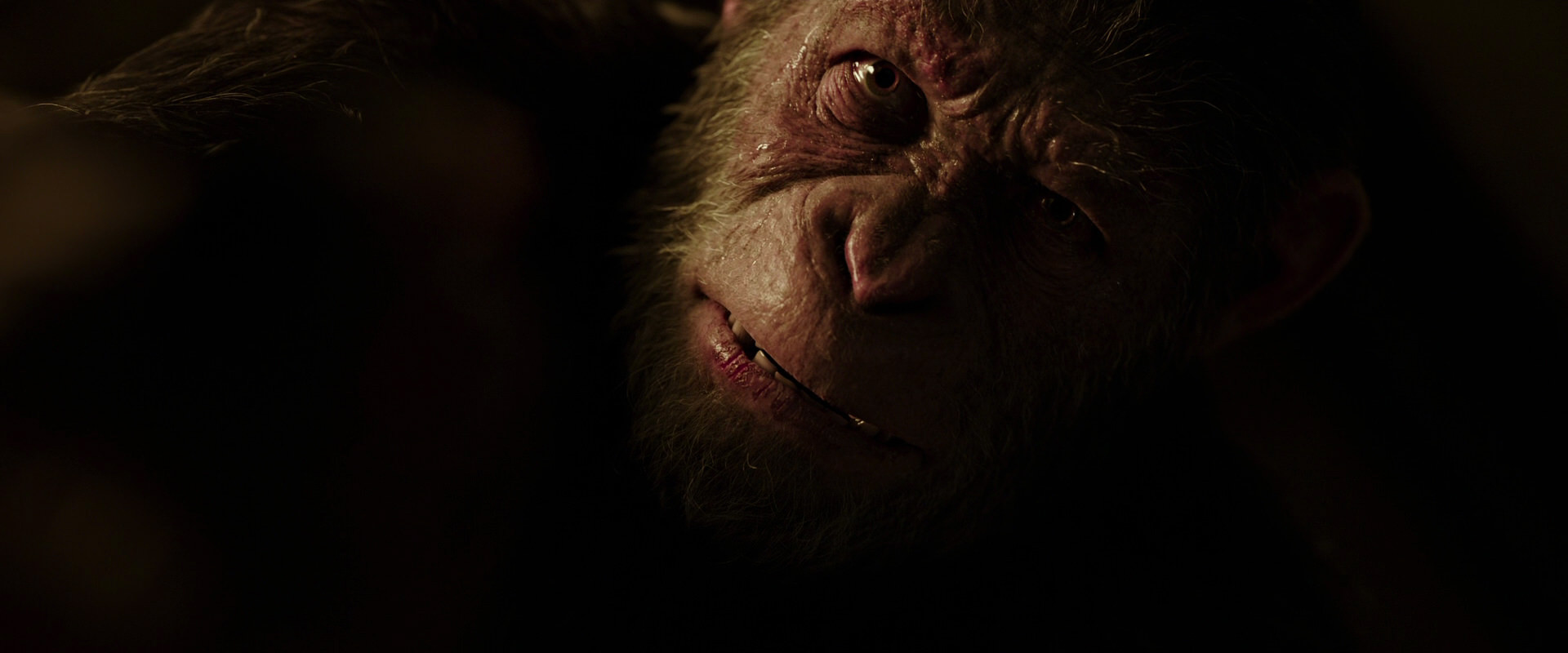 War for the Planet of the Apes (2017) movie still 13636