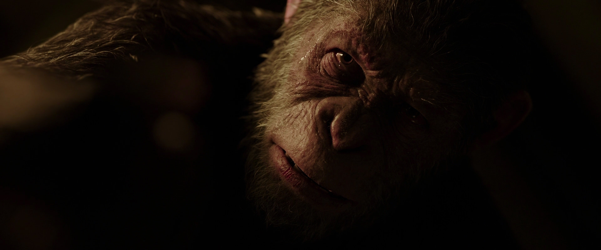 War for the Planet of the Apes (2017) screencap 13644