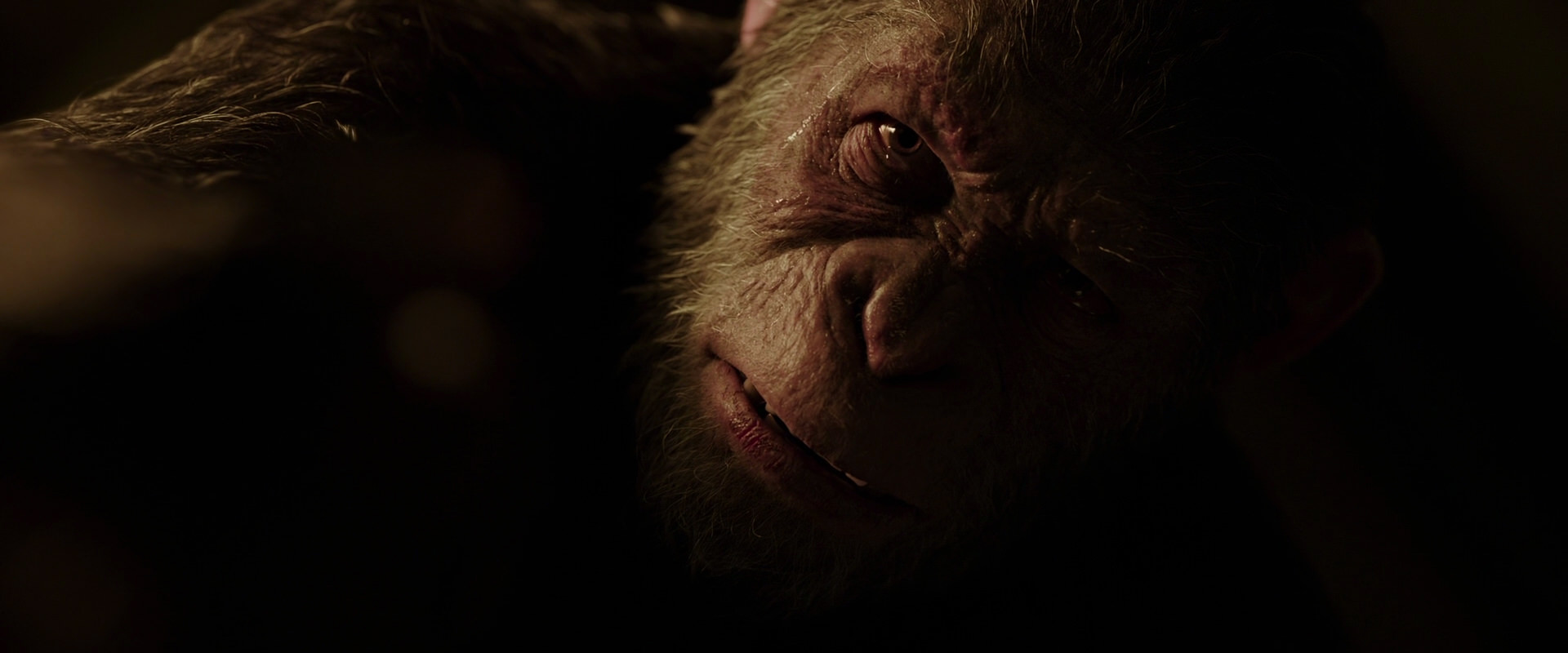 War for the Planet of the Apes (2017) movie still 13645