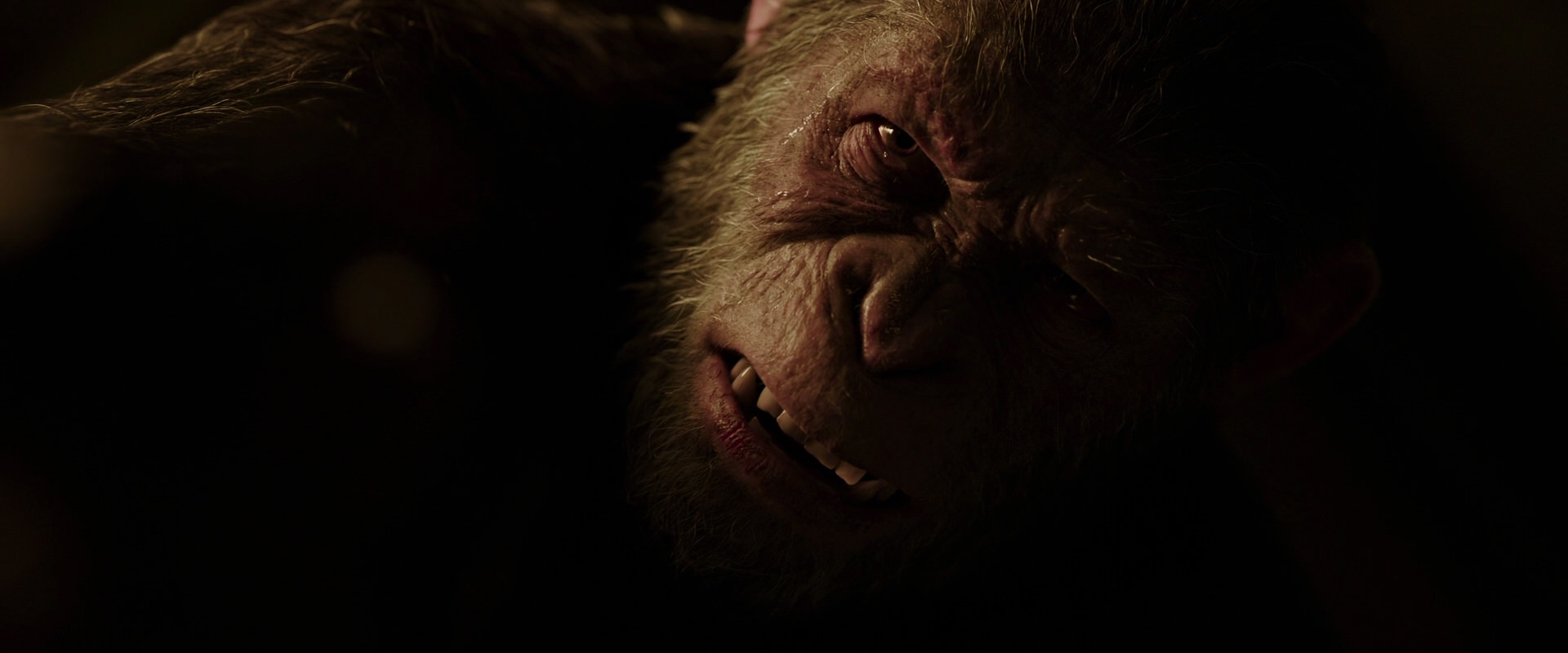 War for the Planet of the Apes (2017) screencap 13647