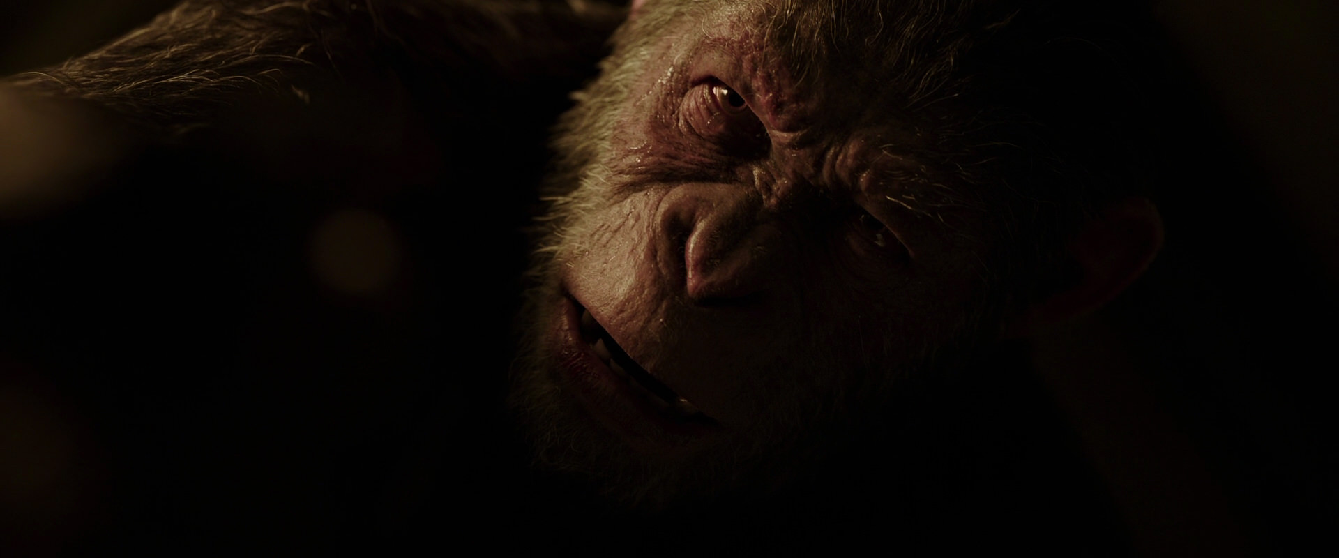 War for the Planet of the Apes (2017) screencap 13650