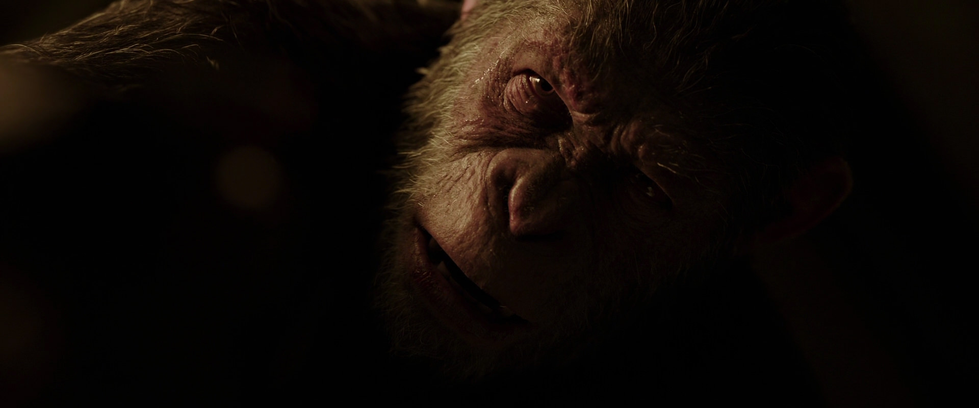 War for the Planet of the Apes (2017) movie still 13651