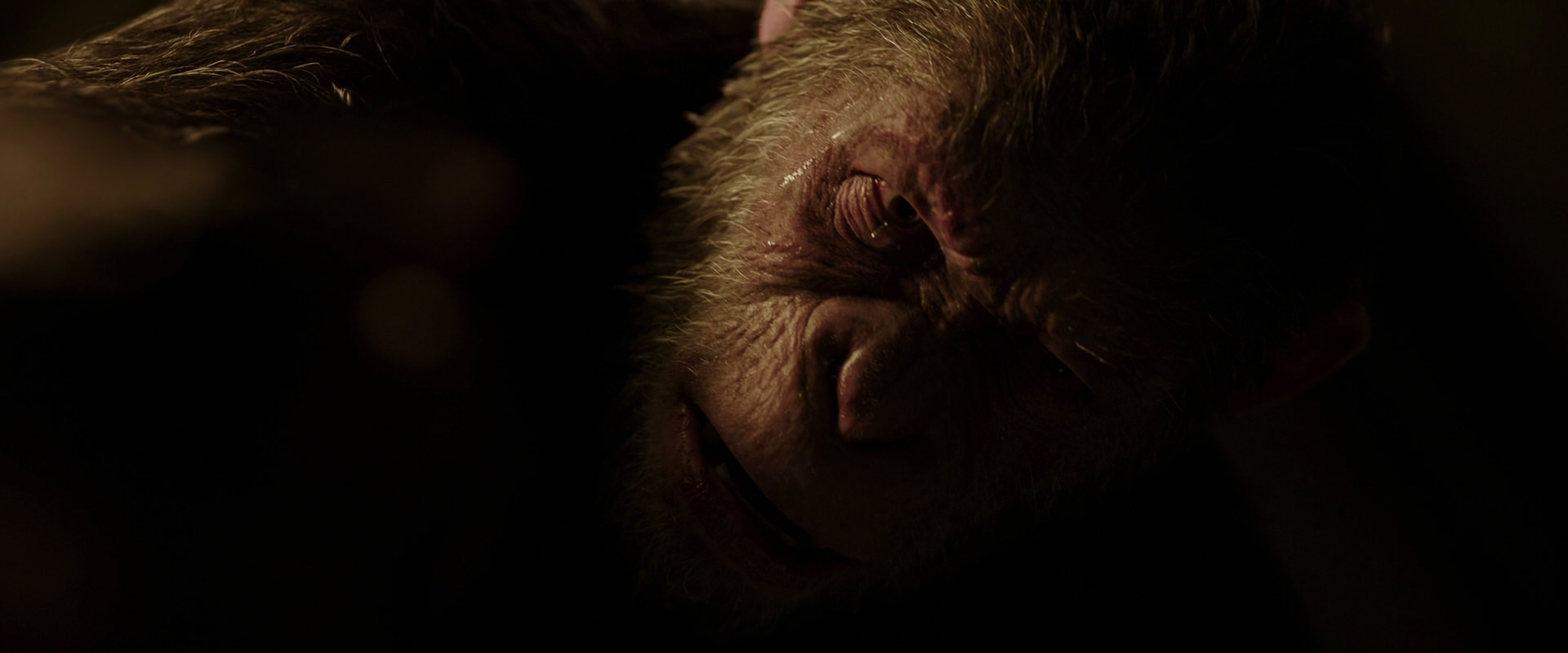 War for the Planet of the Apes (2017) screencap 13653