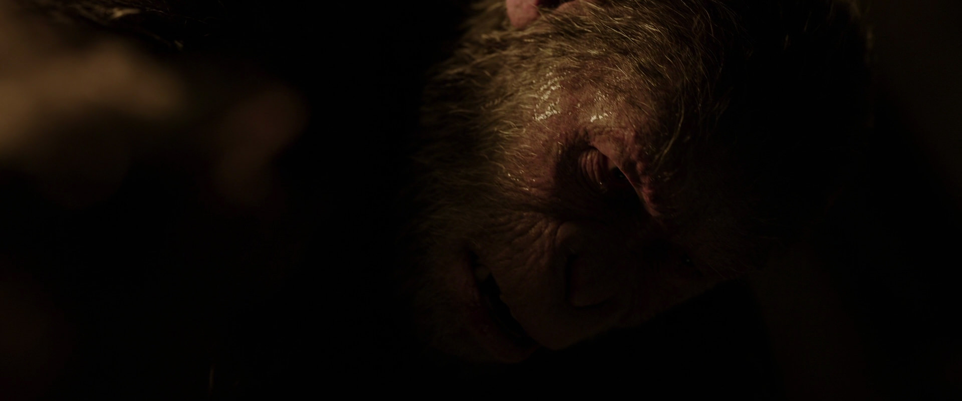 War for the Planet of the Apes (2017) screencap 13656