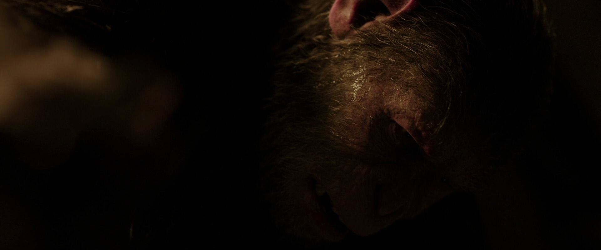 War for the Planet of the Apes (2017) movie still 13657