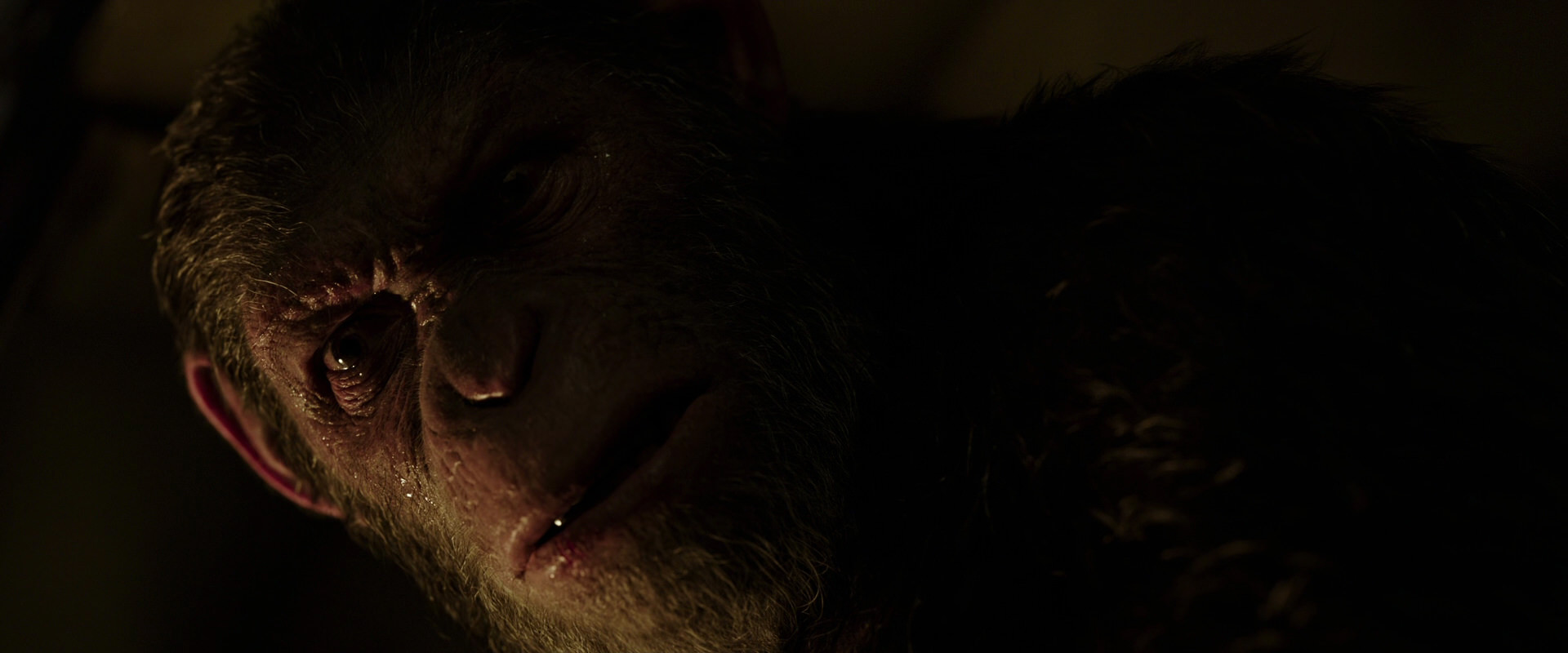 War for the Planet of the Apes (2017) HD screenshot 13658