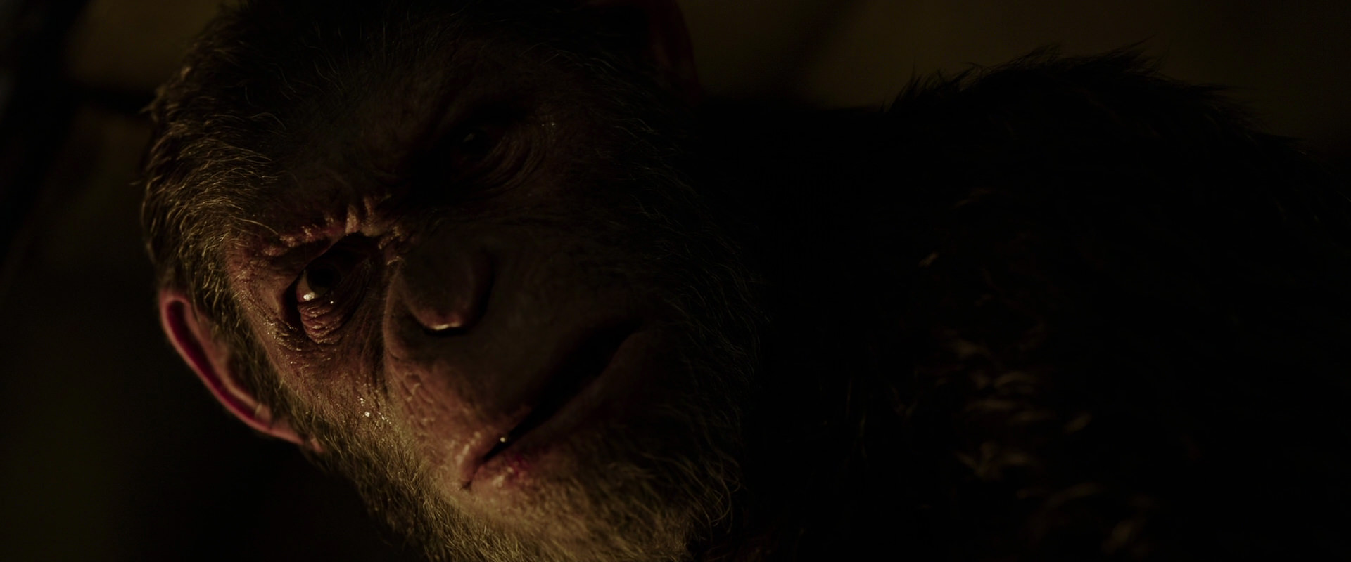 War for the Planet of the Apes (2017) screencap 13659