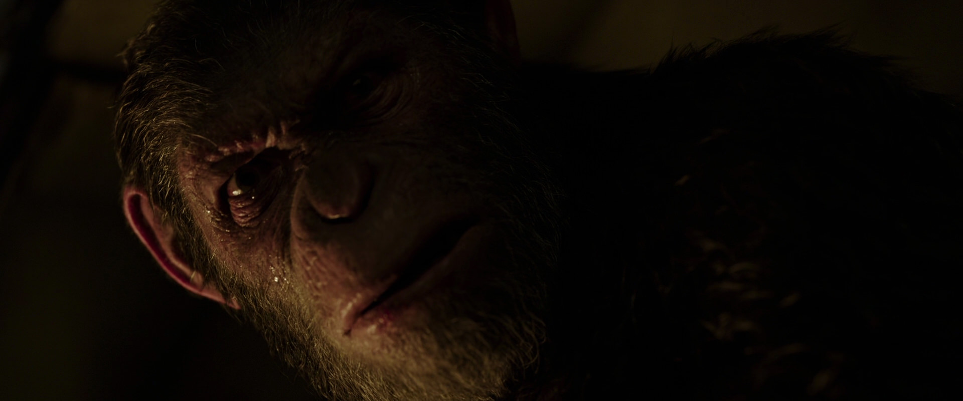 War for the Planet of the Apes (2017) movie still 13660