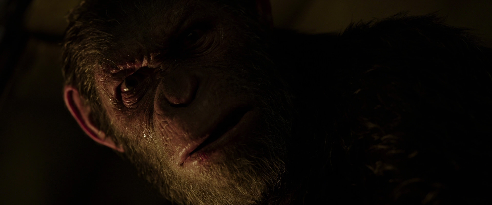 War for the Planet of the Apes (2017) HD screenshot 13661