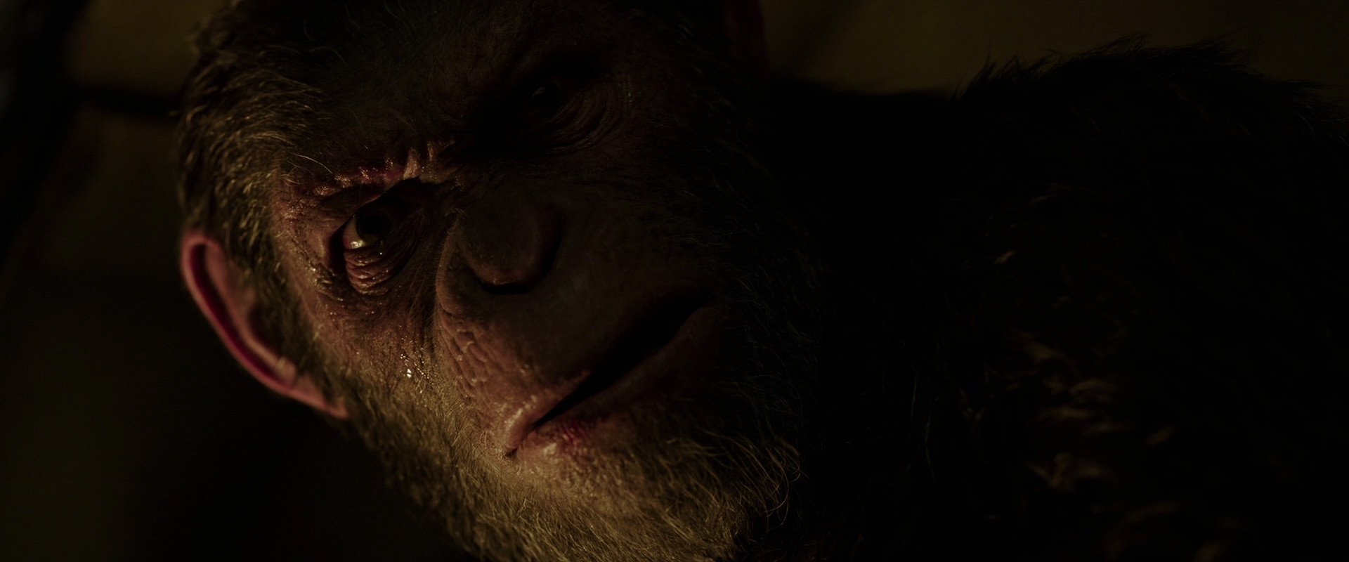 War for the Planet of the Apes (2017) screencap 13662