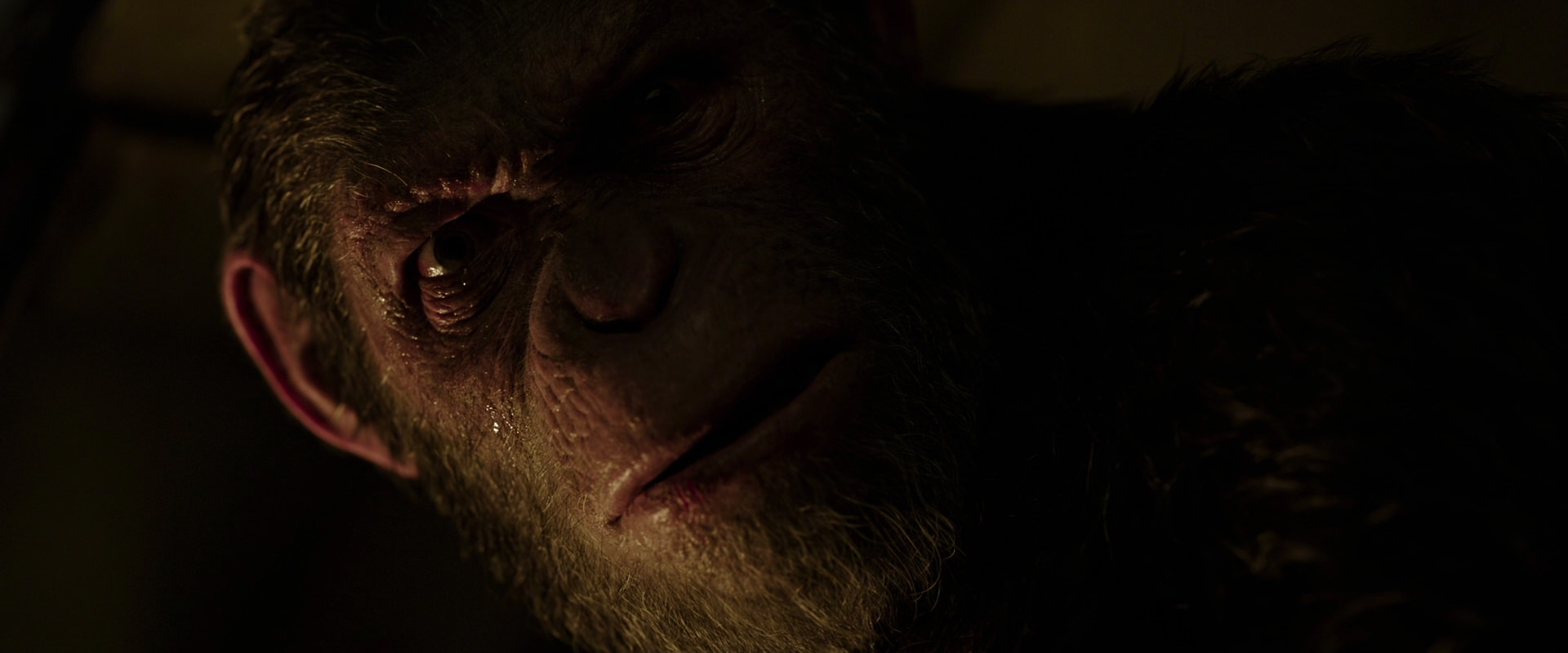 War for the Planet of the Apes (2017) movie still 13663