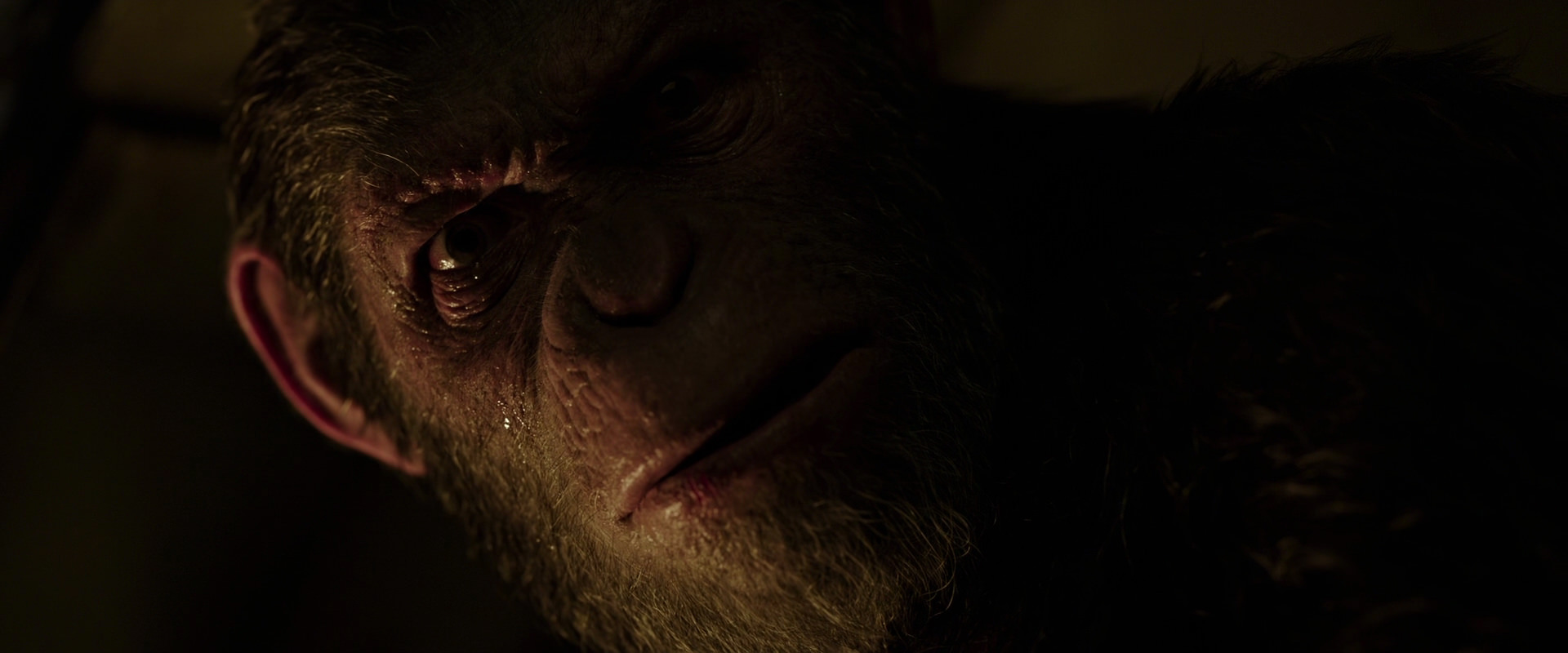 War for the Planet of the Apes (2017) HD screenshot 13664
