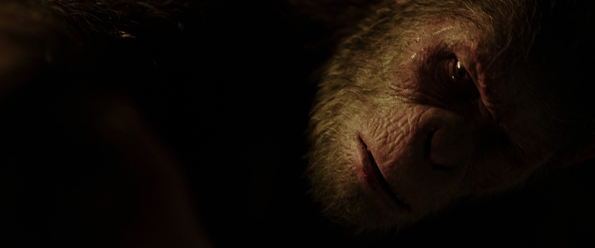 War for the Planet of the Apes (2017) screencap 13677
