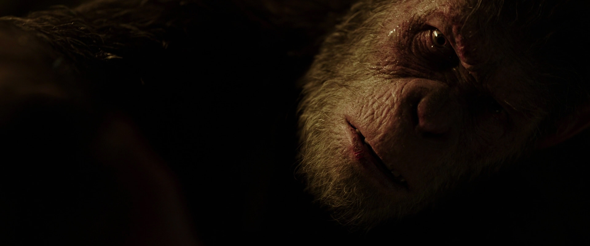 War for the Planet of the Apes (2017) movie still 13678