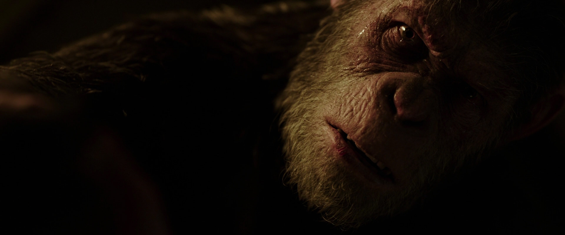 War for the Planet of the Apes (2017) HD screenshot 13679