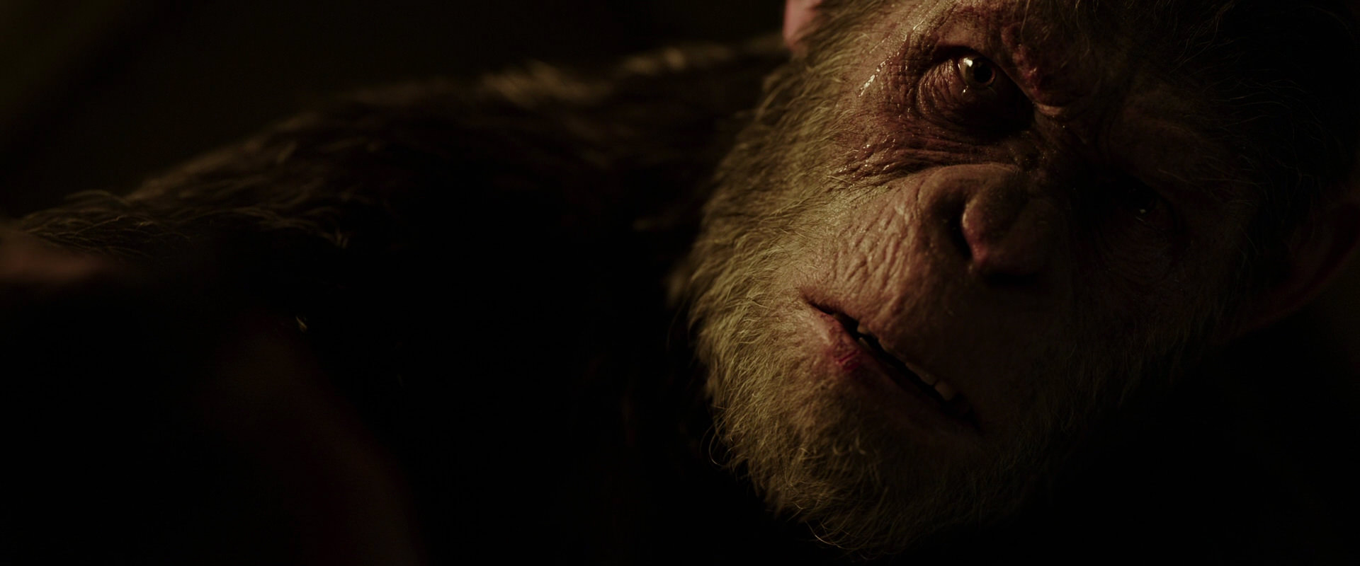 War for the Planet of the Apes (2017) screencap 13680