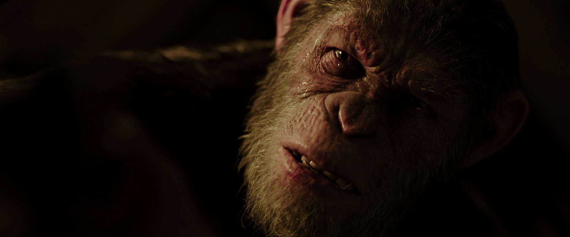 War for the Planet of the Apes (2017) movie still 13699