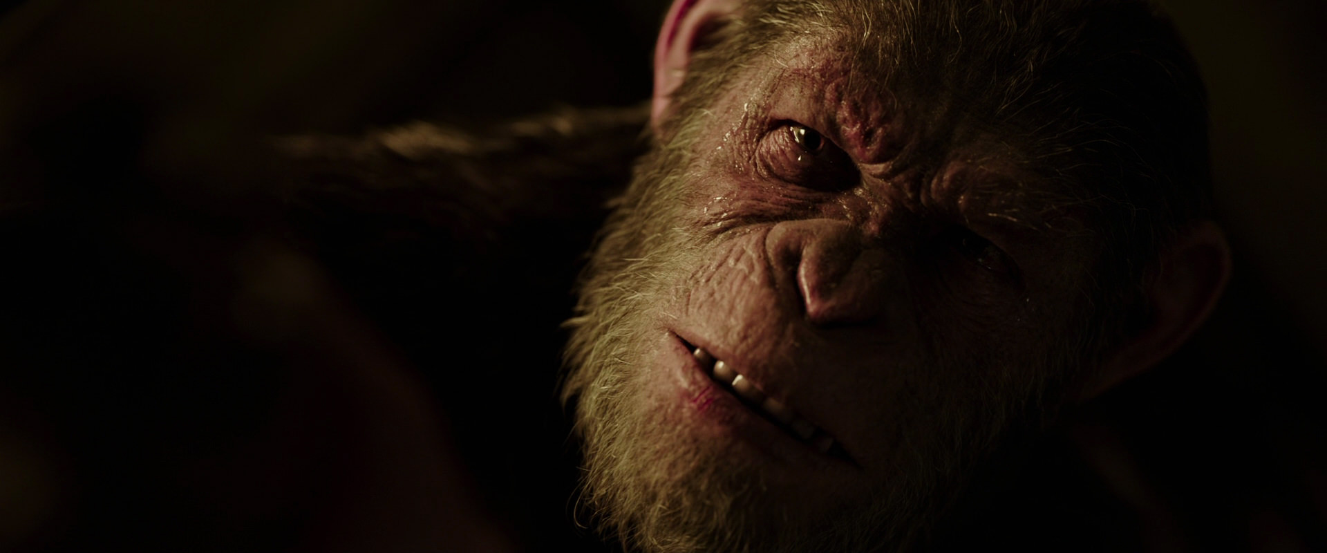 War for the Planet of the Apes (2017) movie still 13702