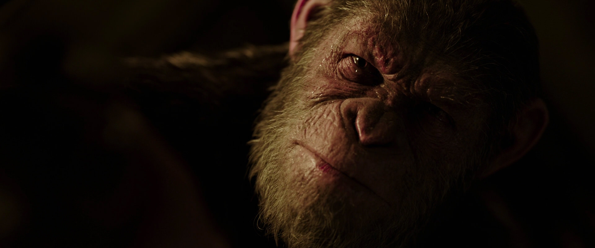War for the Planet of the Apes (2017) HD screenshot 13703