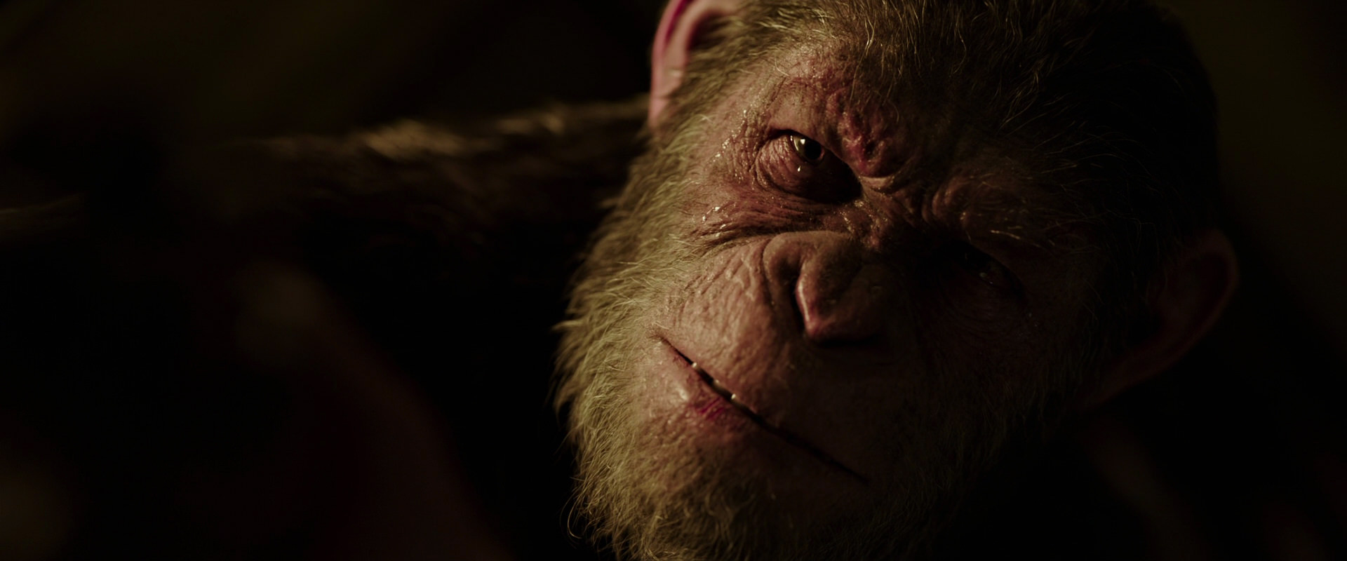 War for the Planet of the Apes (2017) movie still 13705