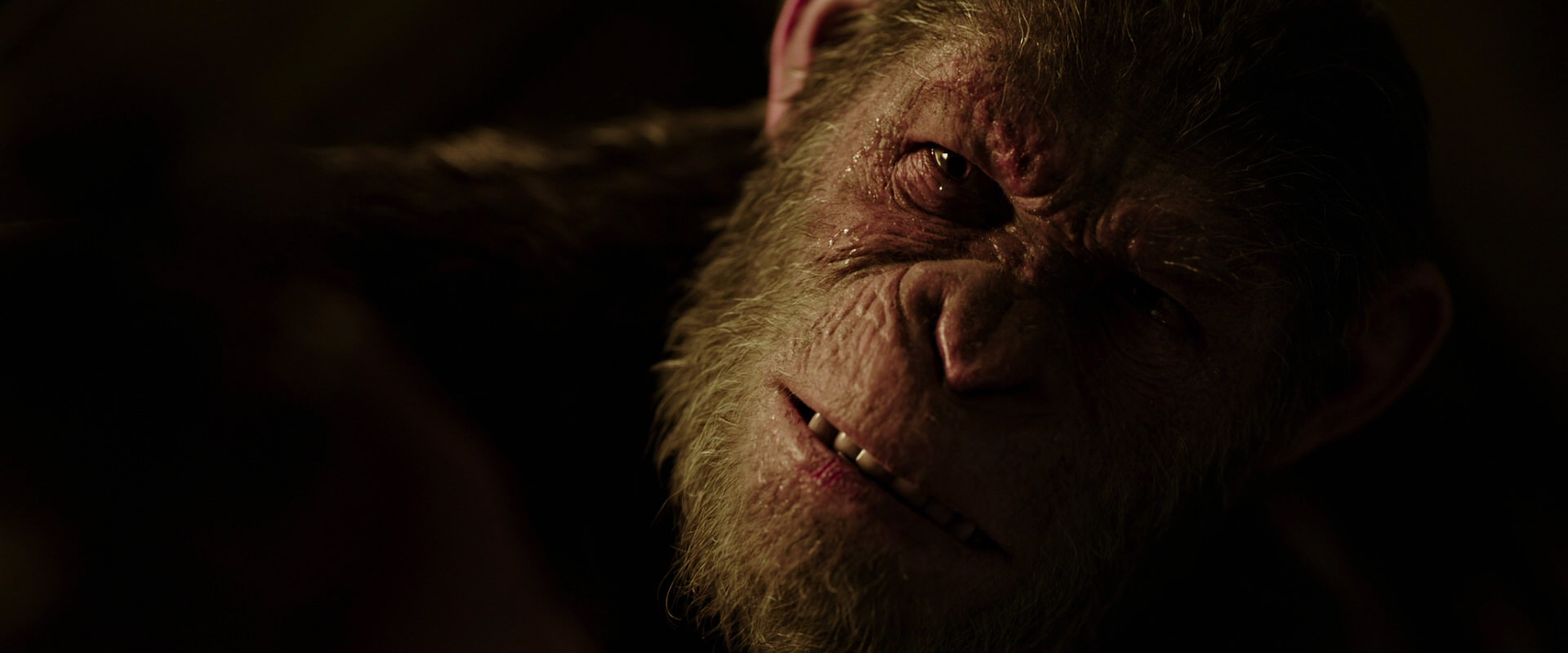 War for the Planet of the Apes (2017) HD screenshot 13706
