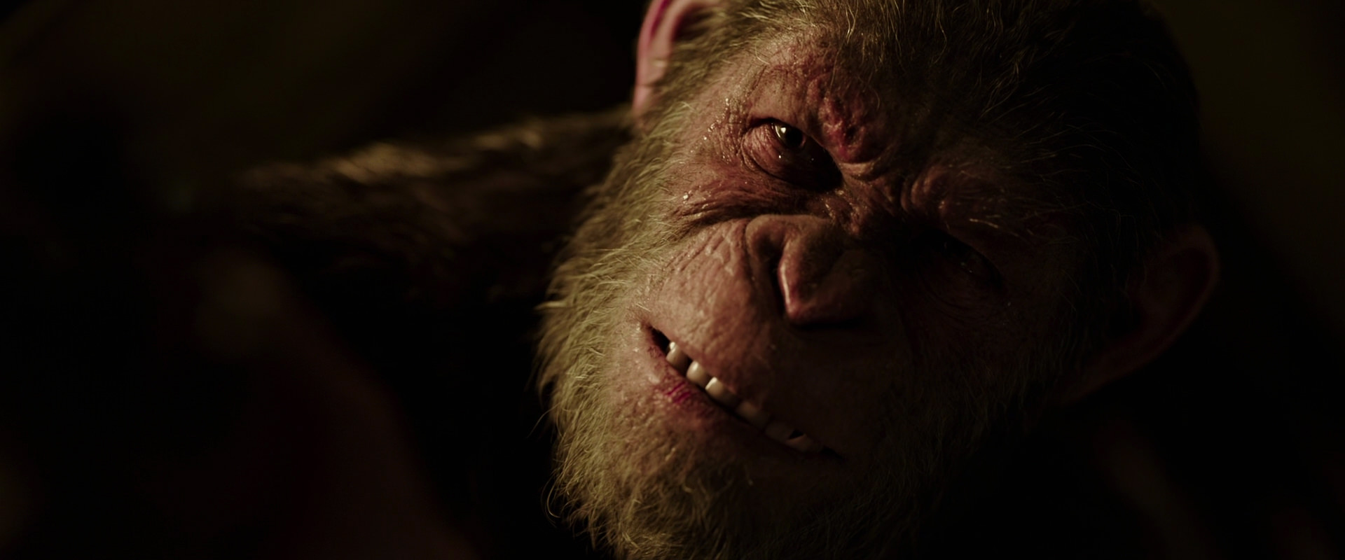 War for the Planet of the Apes (2017) screencap 13713