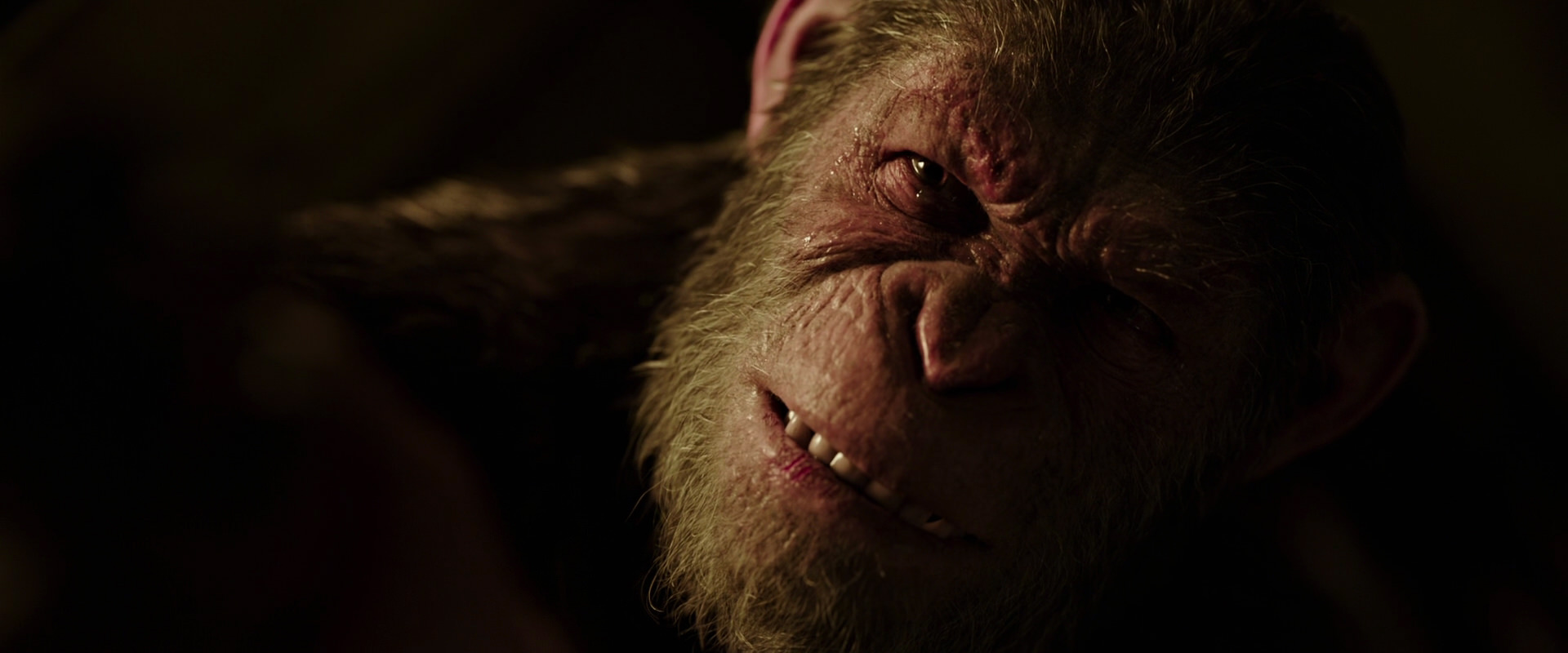 War for the Planet of the Apes (2017) movie still 13714