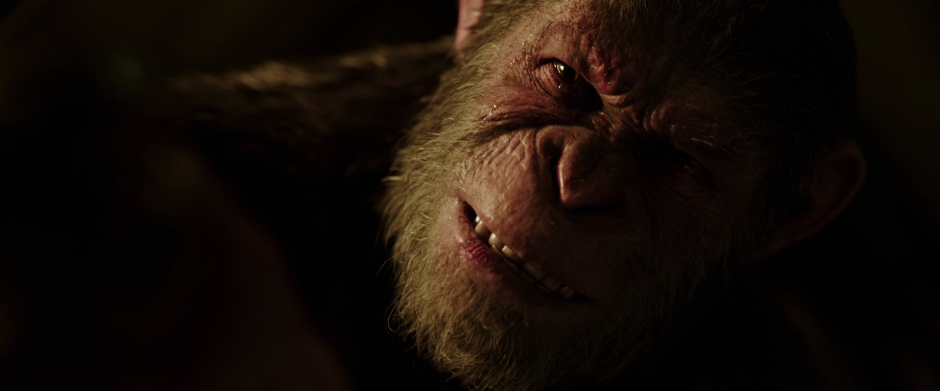 War for the Planet of the Apes (2017) screencap 13716