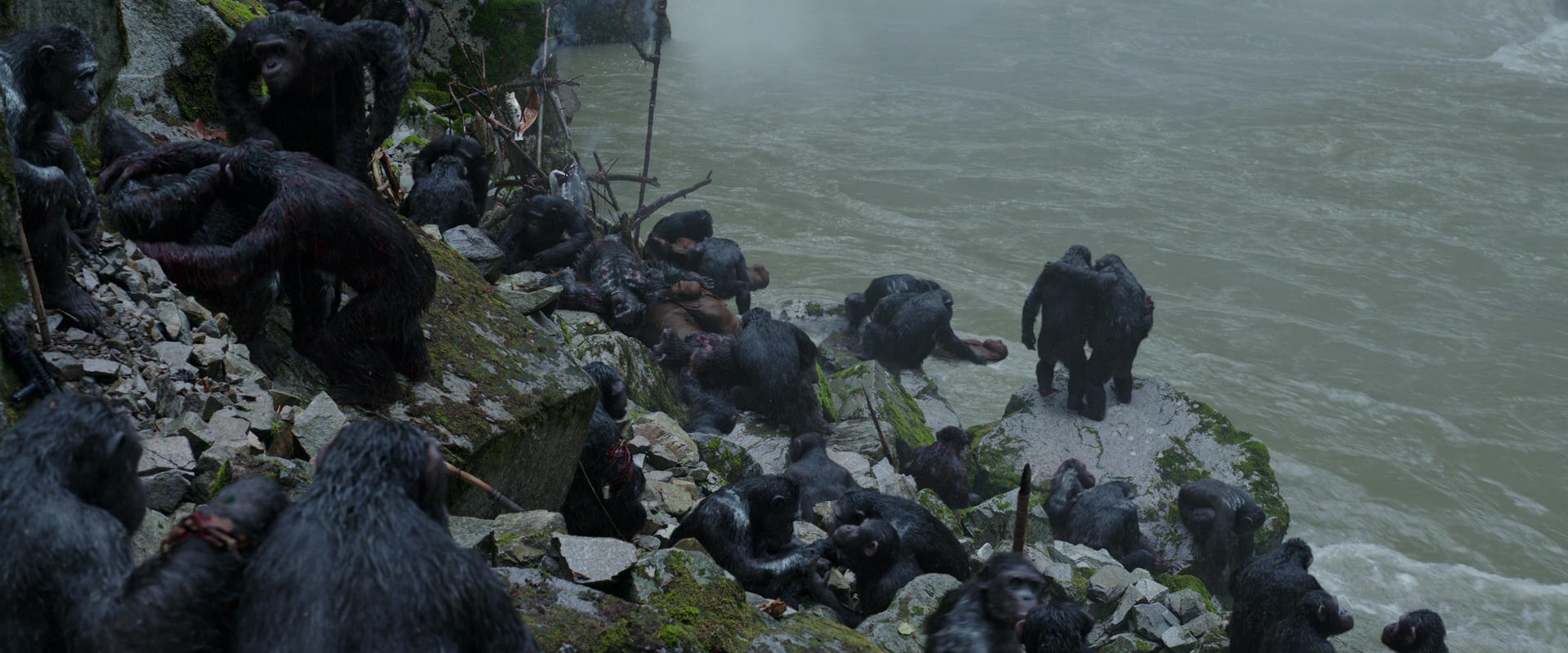War for the Planet of the Apes (2017) movie still 1372