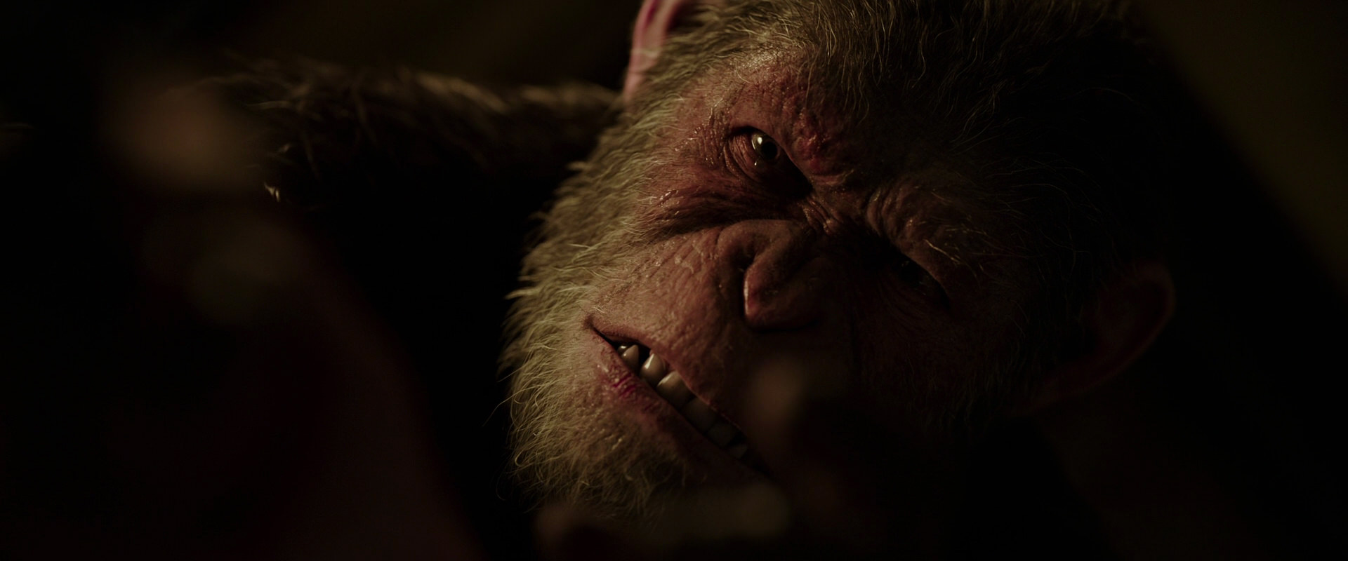 War for the Planet of the Apes (2017) screencap 13728