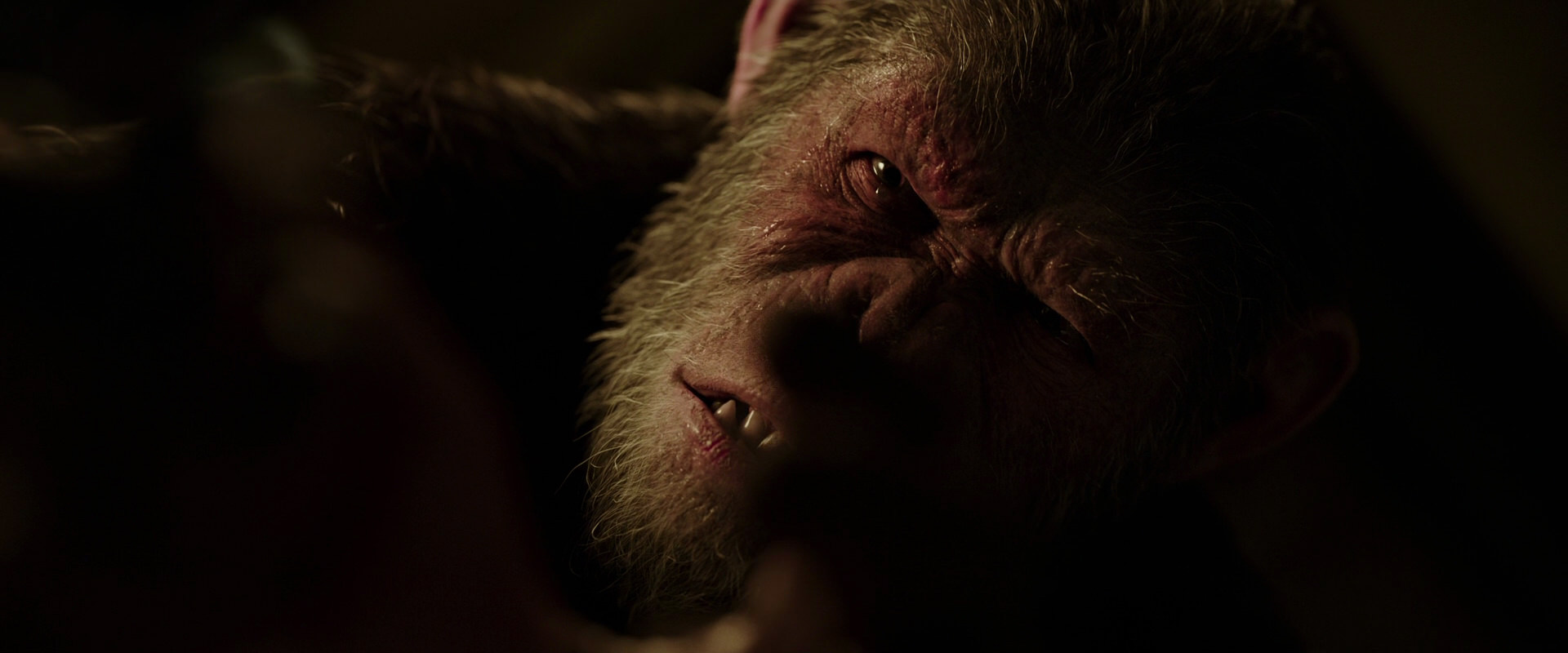 War for the Planet of the Apes (2017) movie still 13729