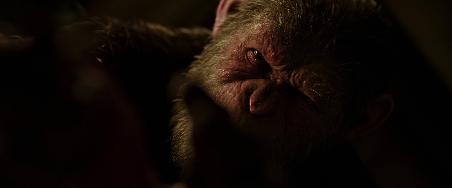 War for the Planet of the Apes (2017) HD screenshot 13730