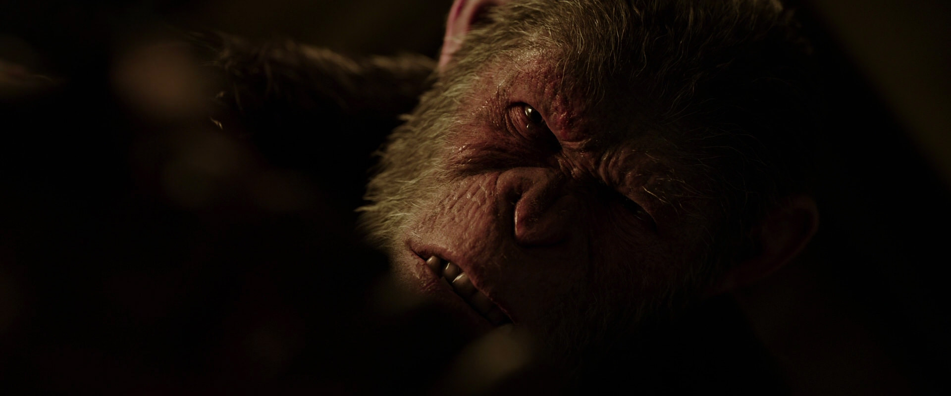 War for the Planet of the Apes (2017) screencap 13731